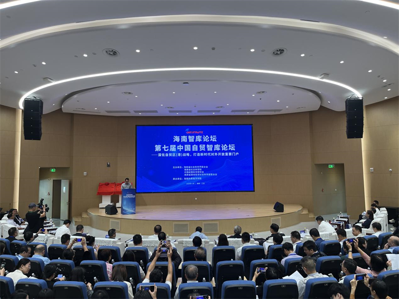 1762153168871648.jpg 800 02.jpg