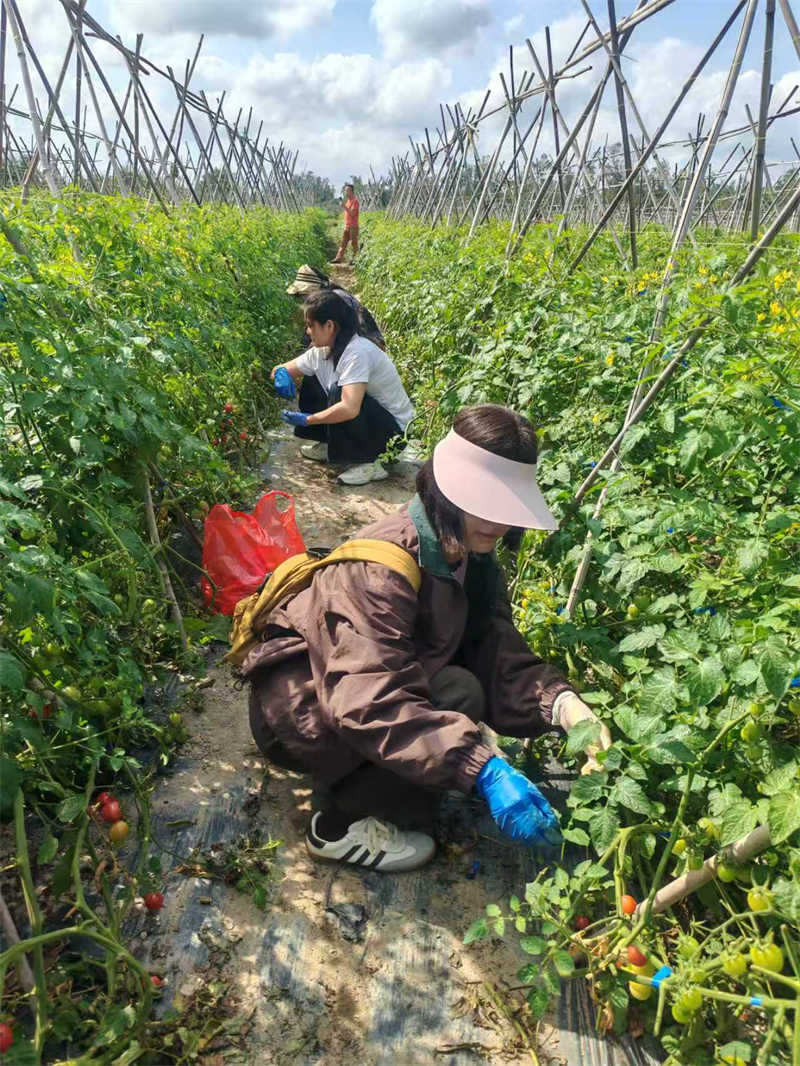 1771049061437785.jpg 微信图片_2026-02-14_141607_062.jpg